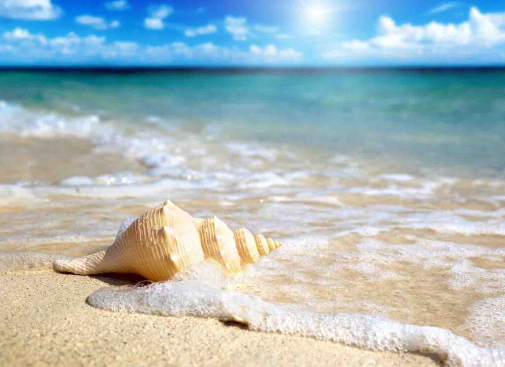 Альфа тур Нефтекамск